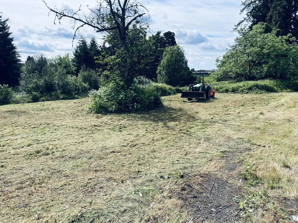 Affordable landscape installation for residential properties in Cornelius, OR by K&D Excavation