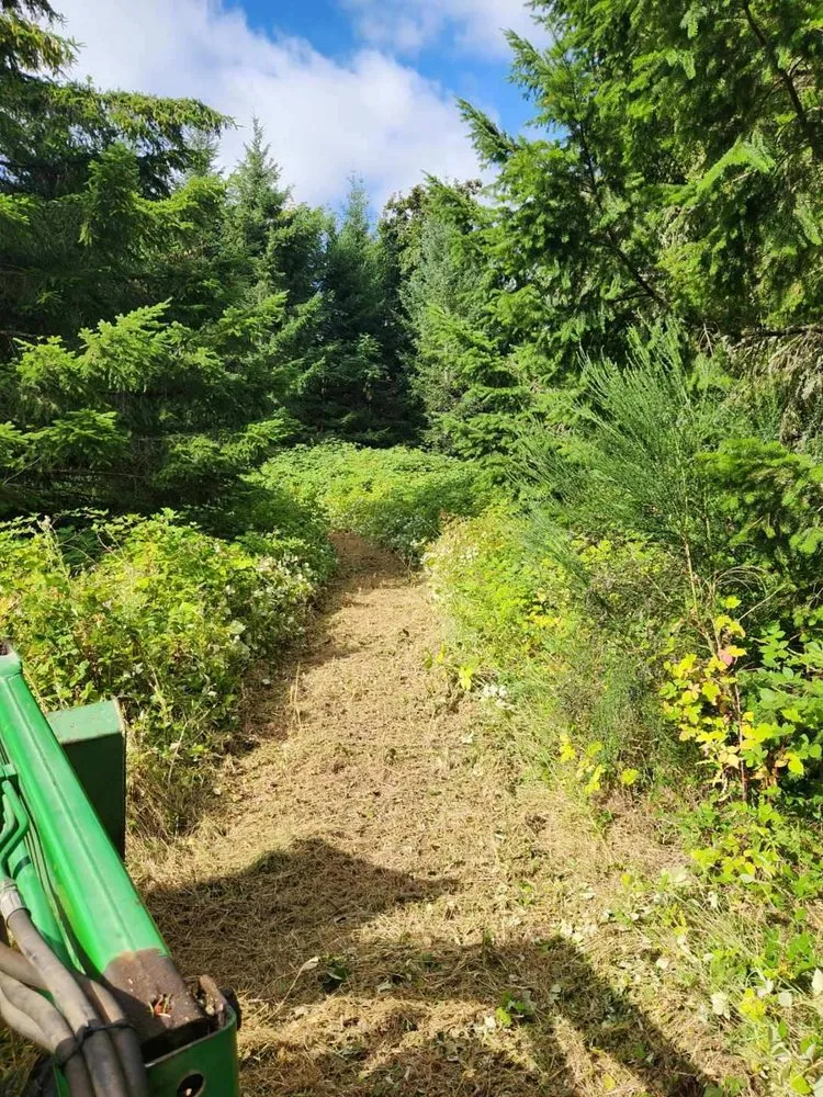 Reliable yard maintenance with custom design in Cornelius, OR by K&D Excavation