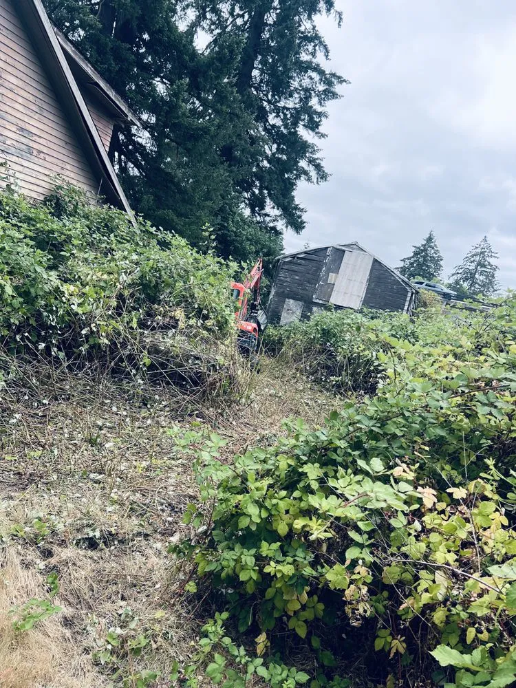 Reliable lawn care service for year-round maintenance across Cornelius, OR - K&D Excavation