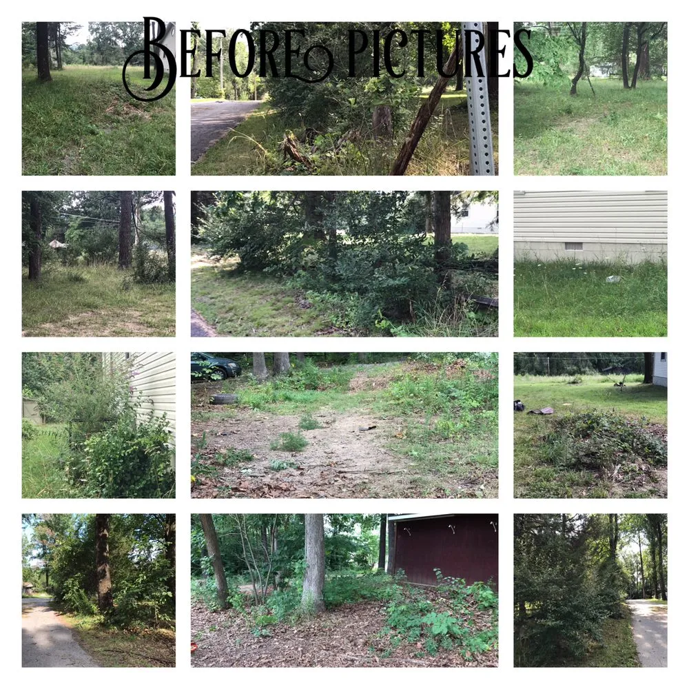 Top-rated garden landscaping near you across Harpers Ferry, WV - K&D Home Improvements