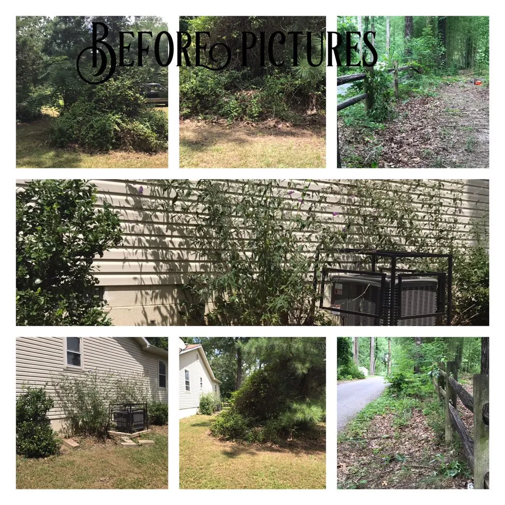 Affordable lawn care service for beautiful yards across Harpers Ferry, WV - K&D Home Improvements