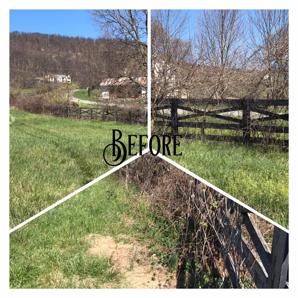 Top-rated outdoor landscaping experts serving Harpers Ferry, WV - K&D Home Improvements