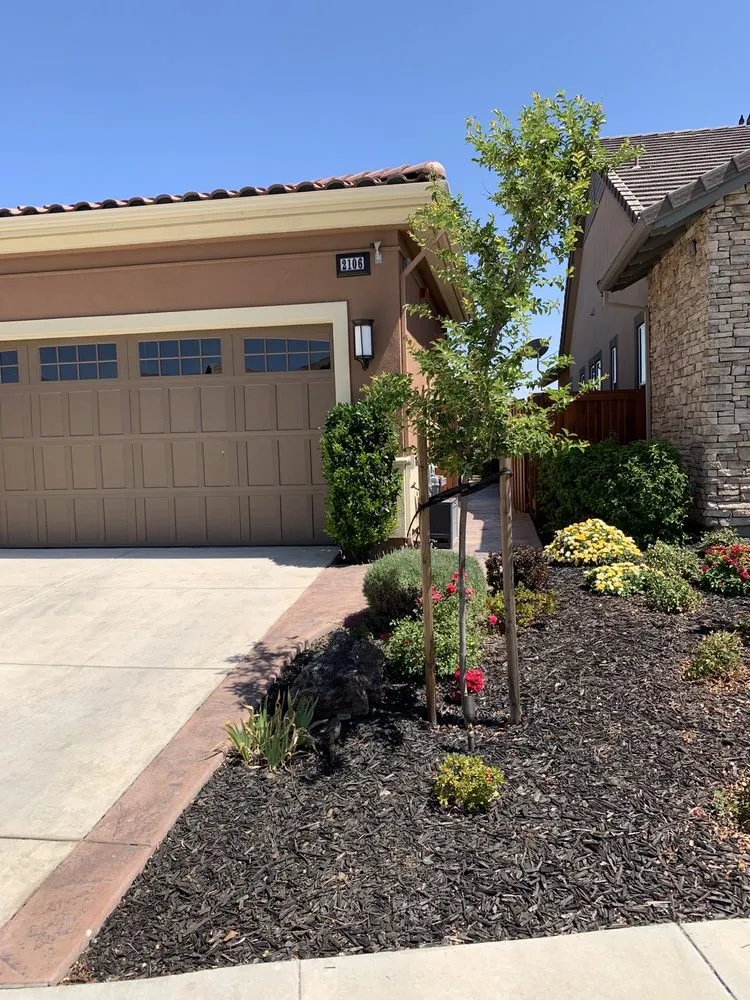 Top-rated landscaping services in Brentwood, CA by KD Landscape