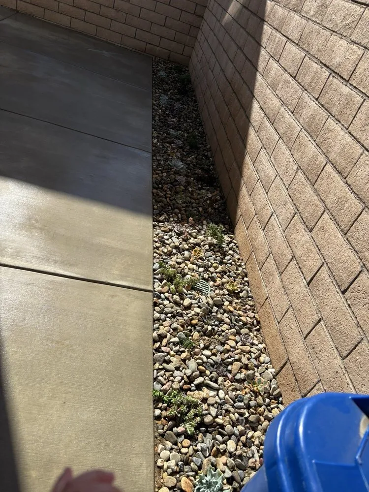 Reliable lawn care service for homes in Ontario, CA by K&D Landscape