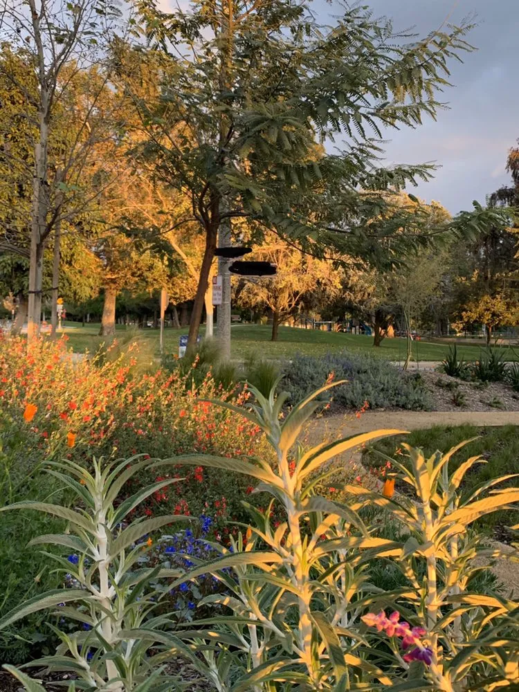 Local landscape design experts serving Ontario, CA - K&D Landscape