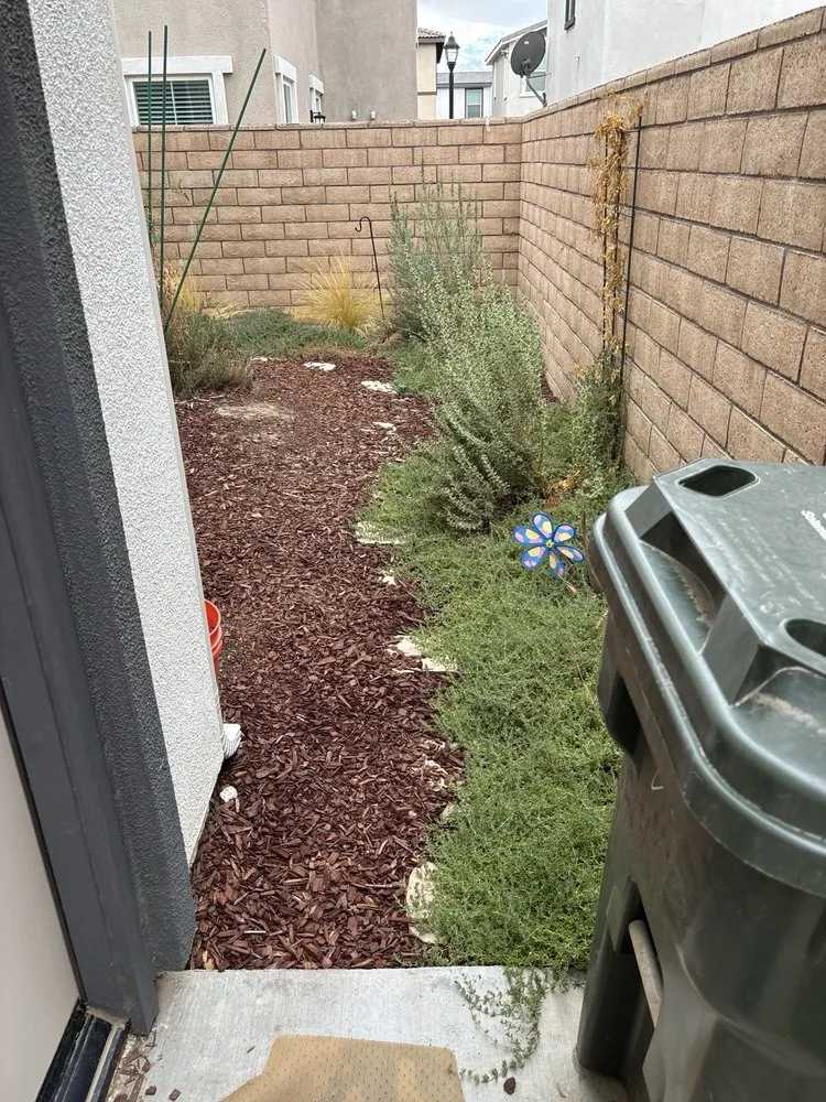 Top-rated yard cleanup service for outdoor upgrades across Ontario, CA - K&D Landscape