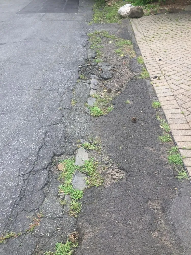 Affordable residential landscaping experts serving Plainfield, NJ - KD Landscaping & Construction