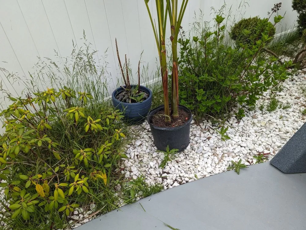 Local yard maintenance for year-round maintenance across Buffalo, NY - KD Landscaping and Snow Plowing