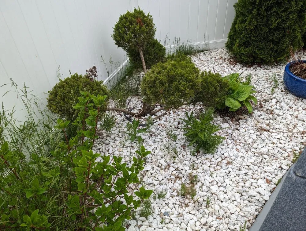 Expert outdoor landscaping in Buffalo, NY by KD Landscaping and Snow Plowing
