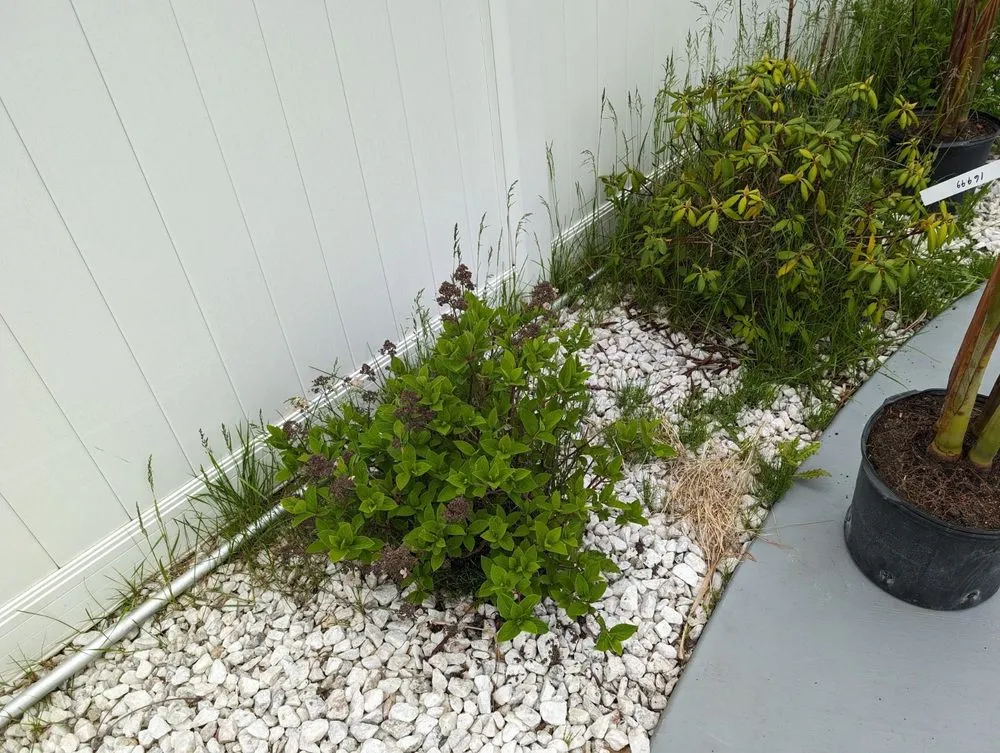 Custom yard cleanup service in Buffalo, NY by KD Landscaping and Snow Plowing