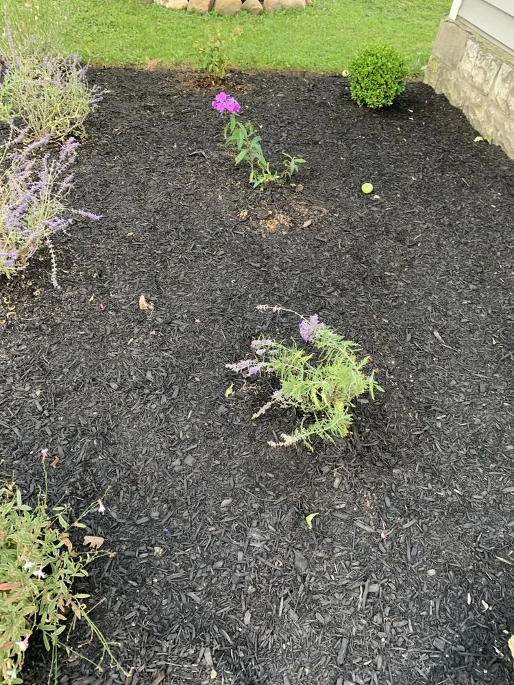 Custom landscaping services experts serving Buffalo, NY - KD Landscaping and Snow Plowing