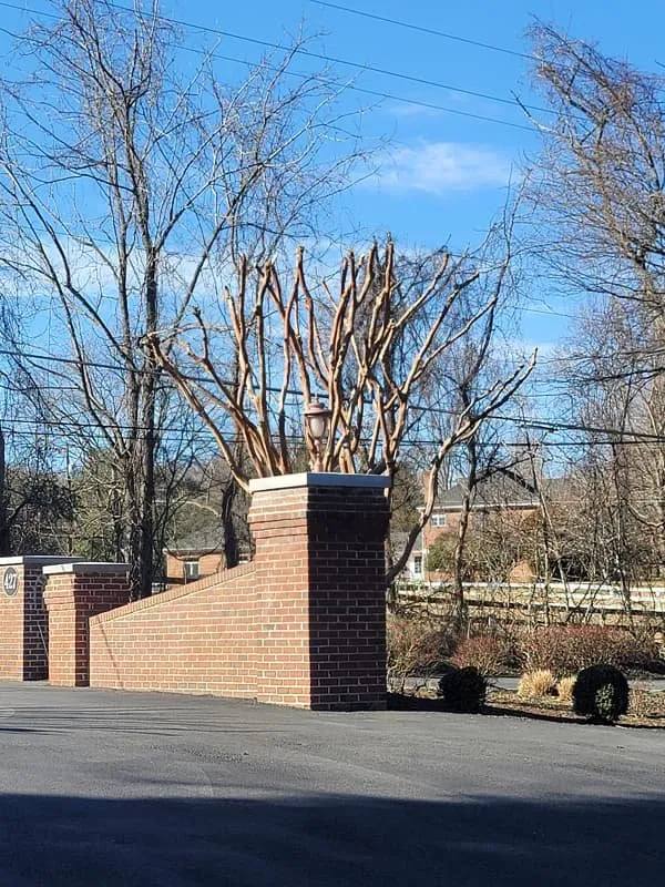 Trusted residential landscaping for year-round maintenance in Sterling, VA by KD Landscaping