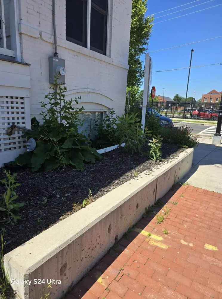 Custom residential landscaping for year-round maintenance in Sterling, VA by KD Landscaping