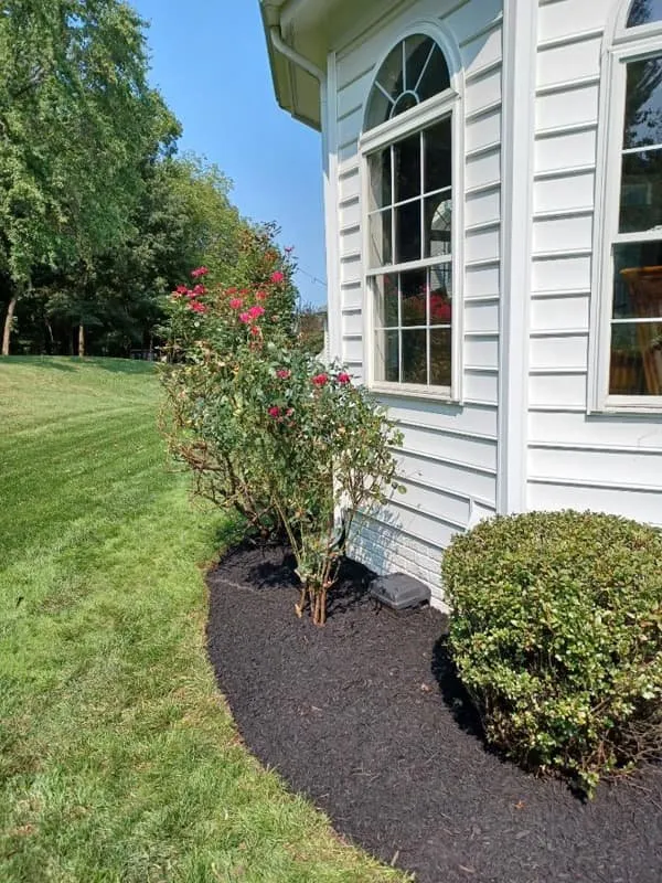 Affordable residential landscaping for beautiful yards across Sterling, VA - KD Landscaping