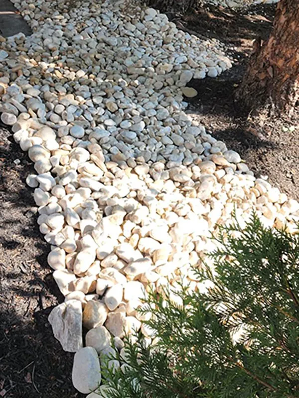 Affordable lawn care service in Sterling, VA by KD Landscaping