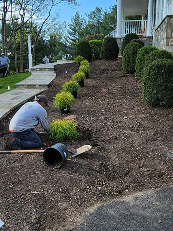 Top-rated yard maintenance in Sterling, VA by KD Landscaping