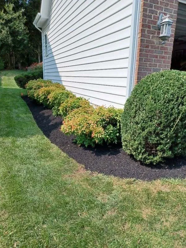 Top-rated yard cleanup service in Sterling, VA - KD Landscaping