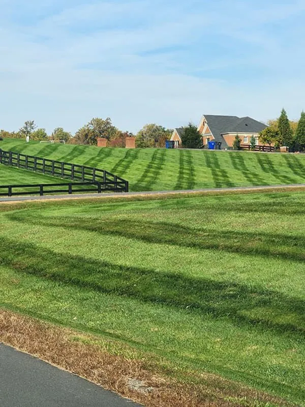 Custom yard maintenance near you in Sterling, VA by KD Landscaping