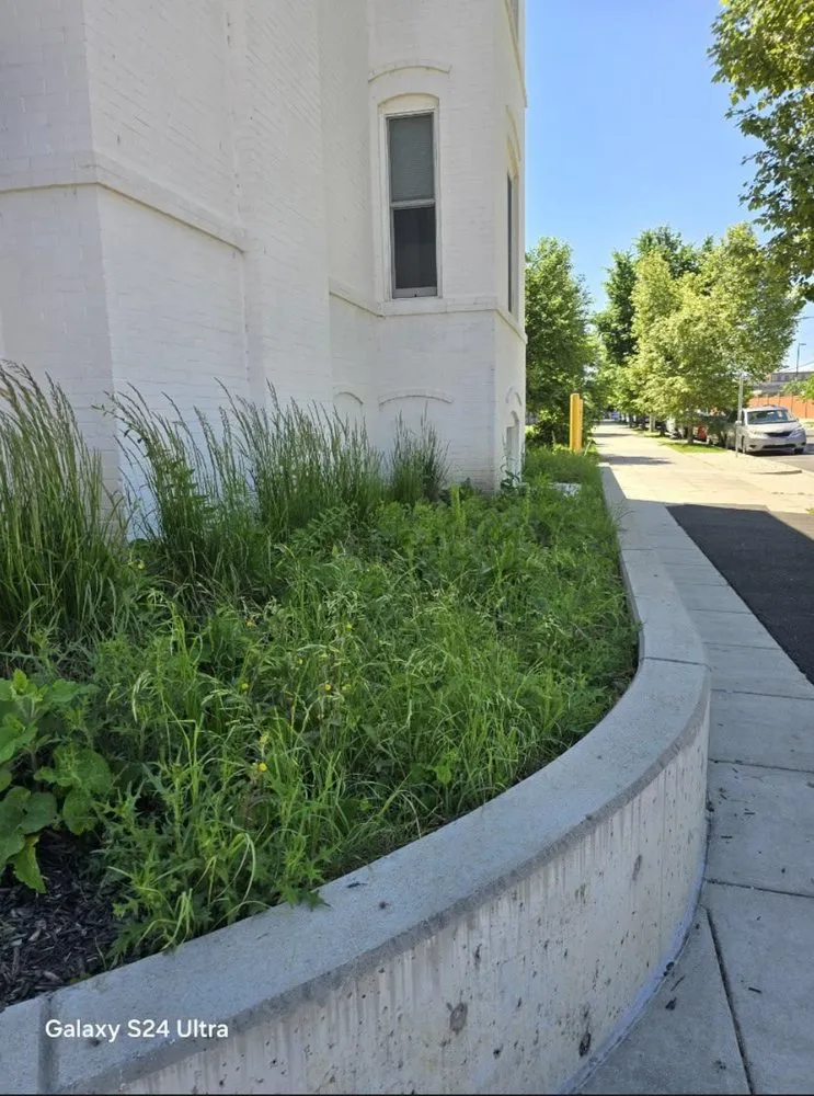 Expert landscaping services experts serving Sterling, VA - KD Landscaping