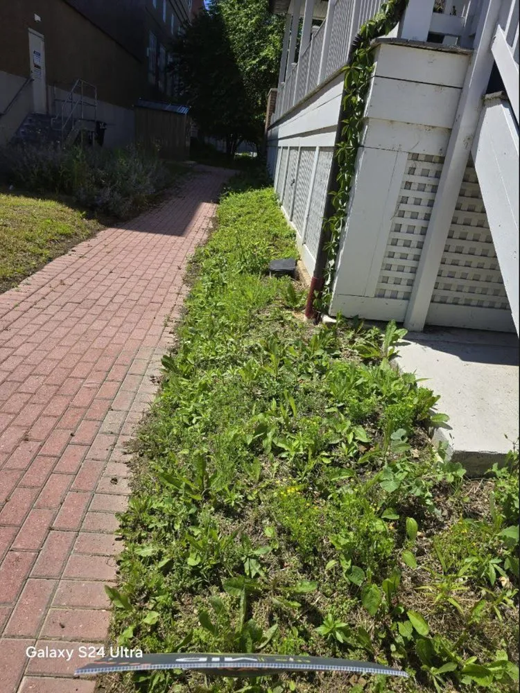 Affordable yard maintenance for outdoor upgrades in Sterling, VA by KD Landscaping