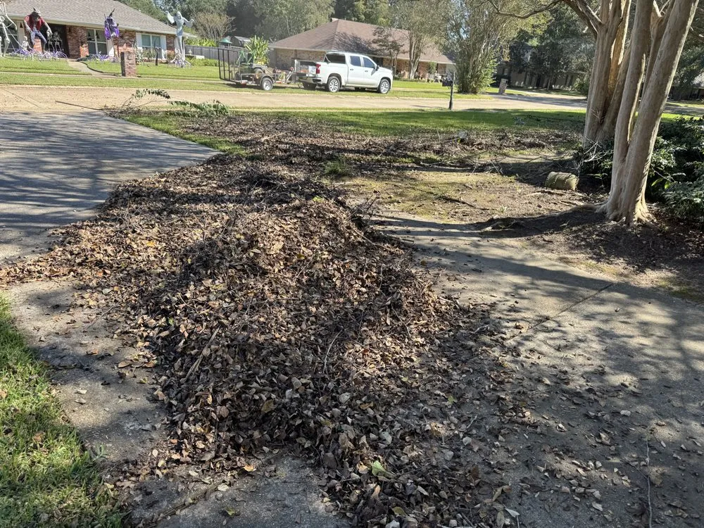 Affordable outdoor landscaping in Alexandria, LA - KD Lawn & Landscape