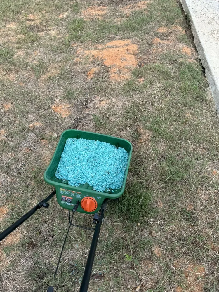 Trusted outdoor landscaping for beautiful yards in Alexandria, LA by KD Lawn & Landscape