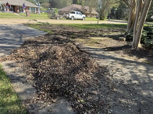 KD Lawn & Landscape Logo