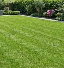 Affordable lawn care service with custom design across Hesston, KS - KD Lawn & Tree