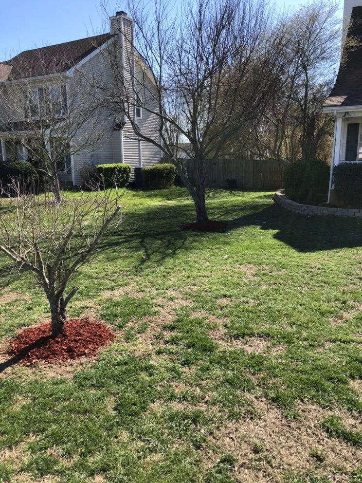 Custom yard maintenance in Tuscaloosa, AL by KD Lawn and Landscaping Services