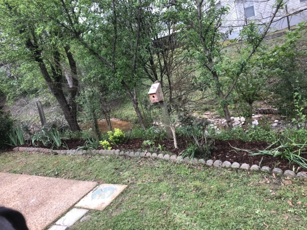 Expert lawn care service in Tuscaloosa, AL by KD Lawn and Landscaping Services