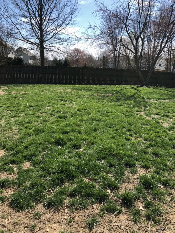 Local landscape design in Tuscaloosa, AL - KD Lawn and Landscaping Services