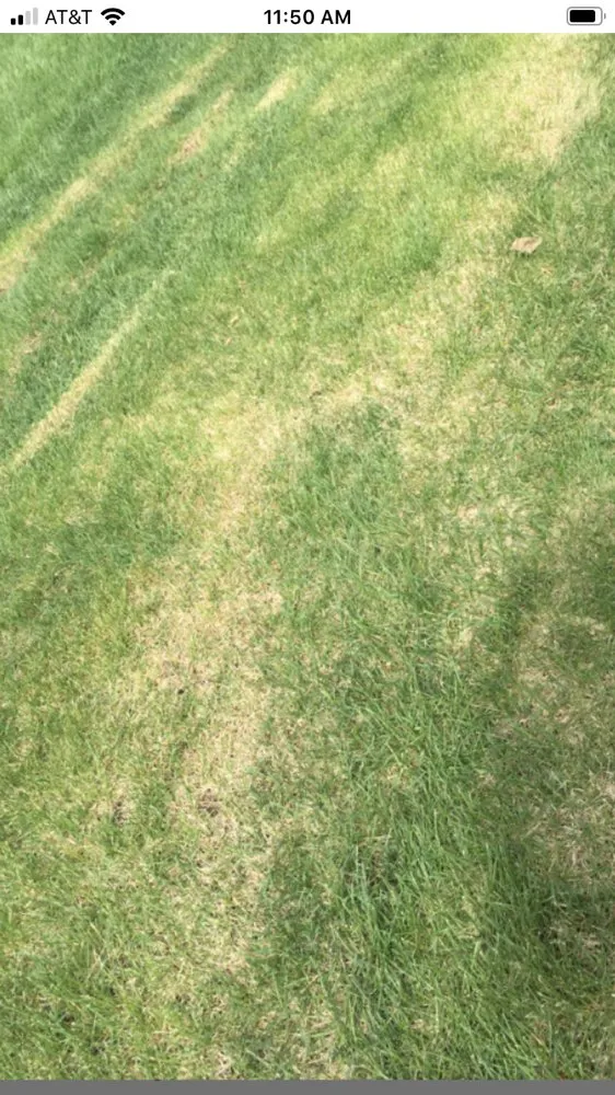 Trusted landscape design in Tuscaloosa, AL - KD Lawn and Landscaping Services