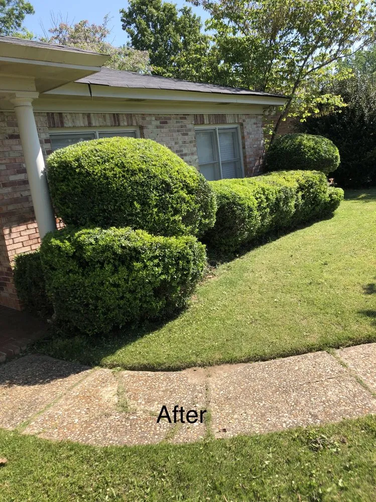 Top-rated yard cleanup service for beautiful yards across Tuscaloosa, AL - KD Lawn and Landscaping Services