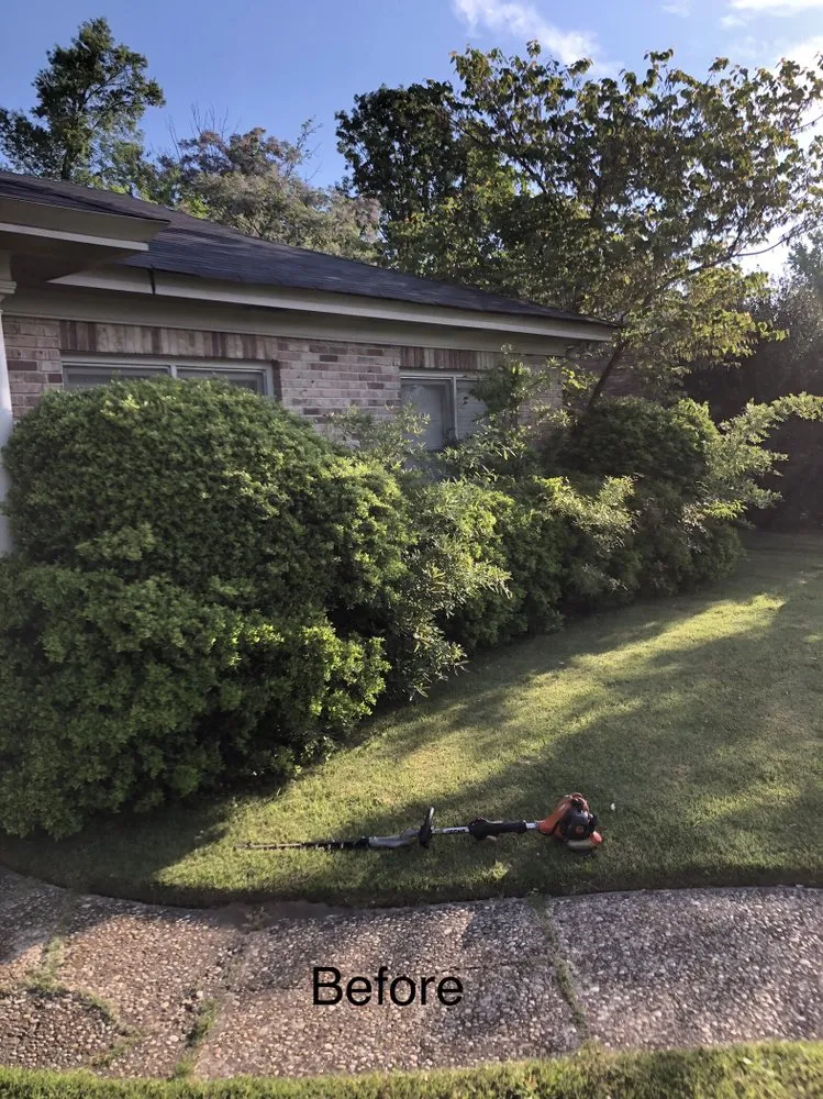 Affordable landscape installation in Tuscaloosa, AL - KD Lawn and Landscaping Services