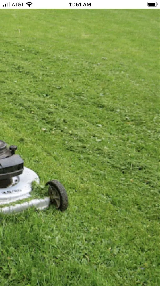 Local outdoor landscaping experts serving Tuscaloosa, AL - KD Lawn and Landscaping Services