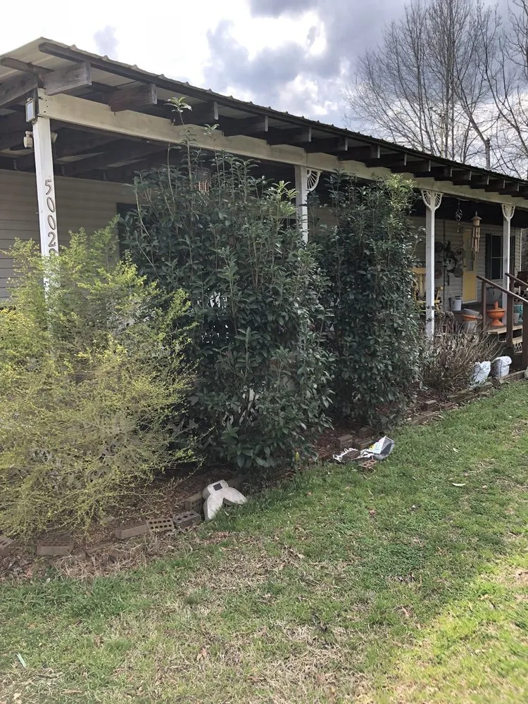 Custom yard maintenance in Tuscaloosa, AL by KD Lawn and Landscaping Services