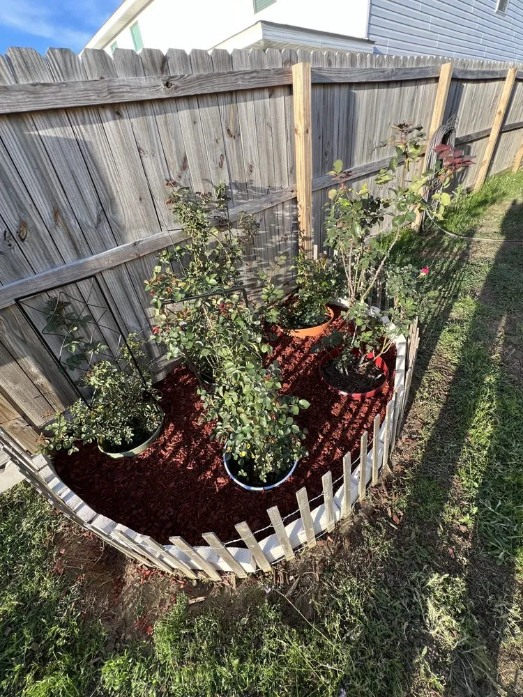 Affordable yard maintenance in Cottonwood, AL - KD Lawn Care