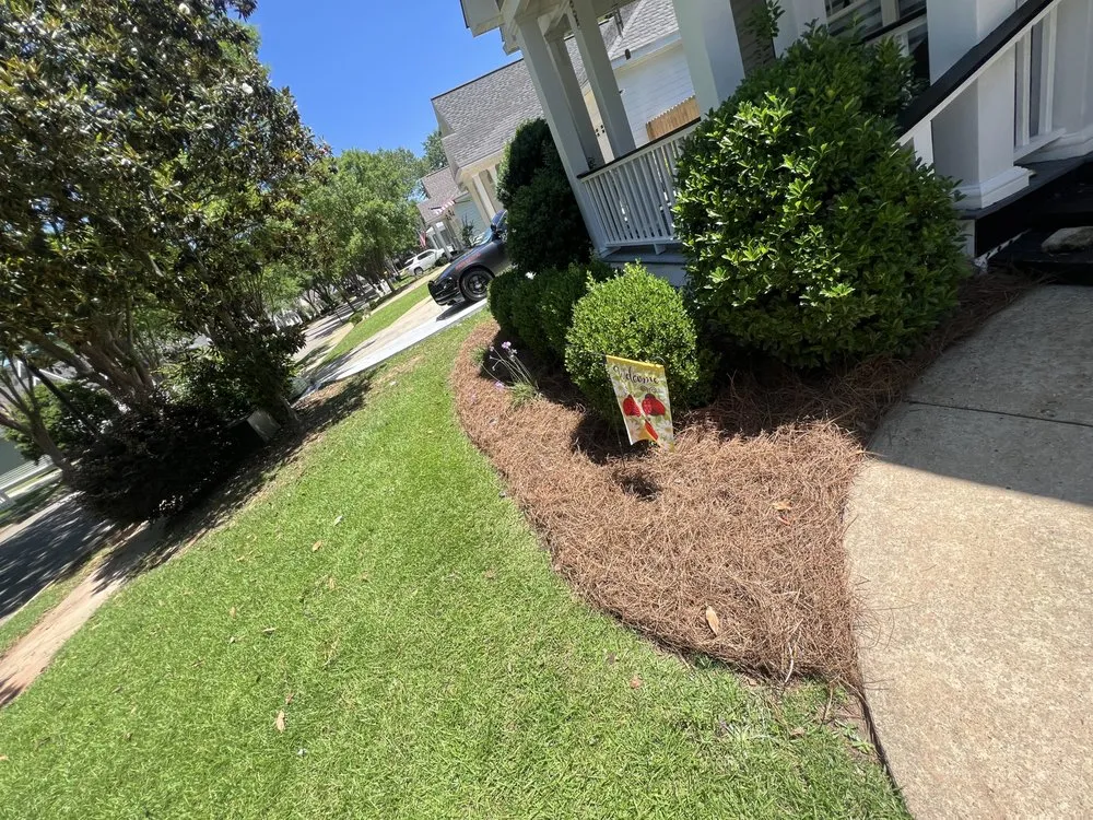 Custom yard maintenance experts serving Cottonwood, AL - KD Lawn Care