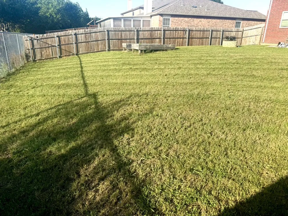 Professional yard cleanup service for homes in Fort Worth, TX by KD Lawn Workz