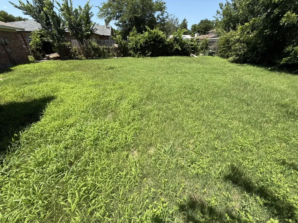 Affordable landscaping services in Fort Worth, TX - KD Lawn Workz