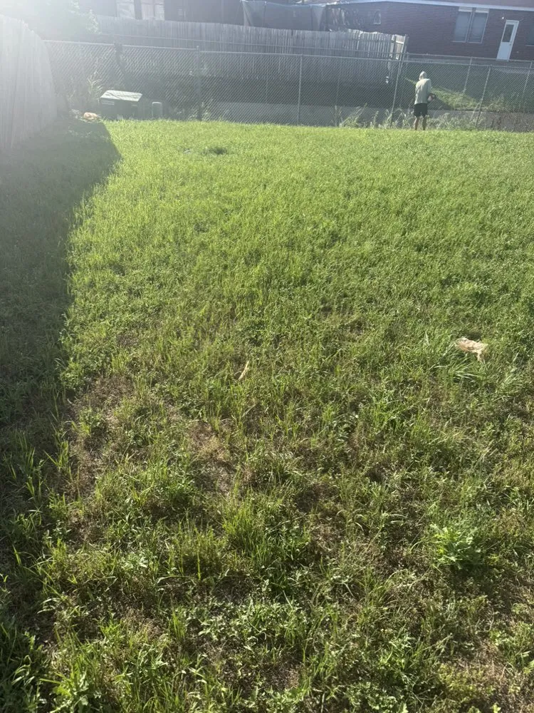 Top-rated garden landscaping experts serving Fort Worth, TX - KD Lawn Workz