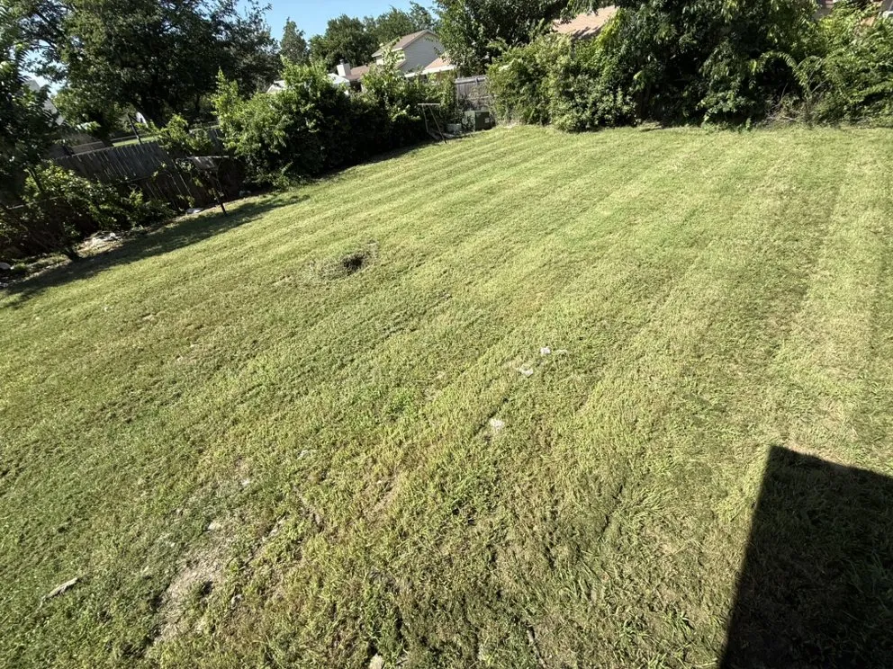 Professional lawn care service for year-round maintenance across Fort Worth, TX - KD Lawn Workz