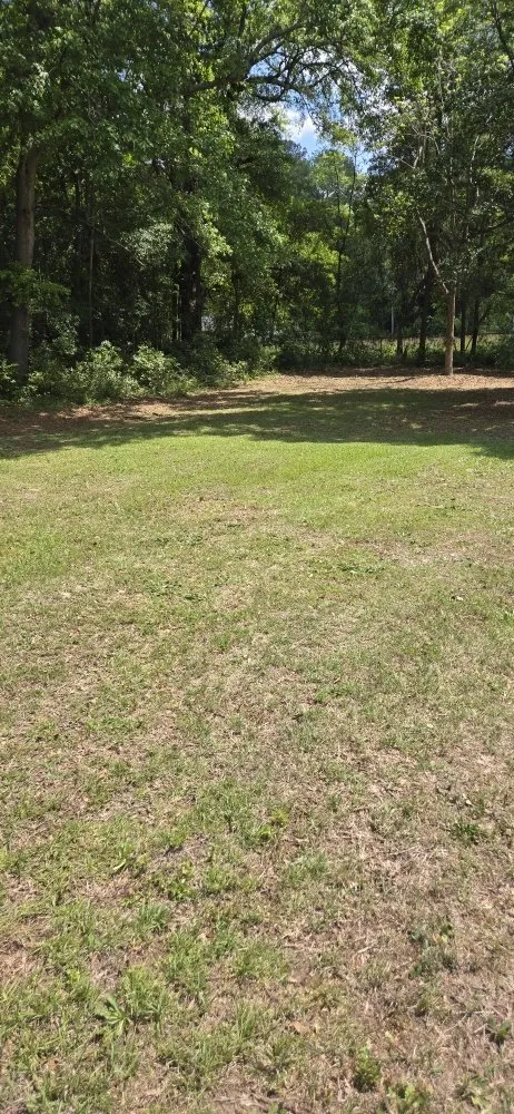 Professional landscape design near you across Kingstree, SC - K&D Lawncare Solutions Plus