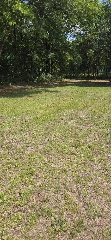 Top-rated landscaping services for homes in Kingstree, SC by K&D Lawncare Solutions Plus