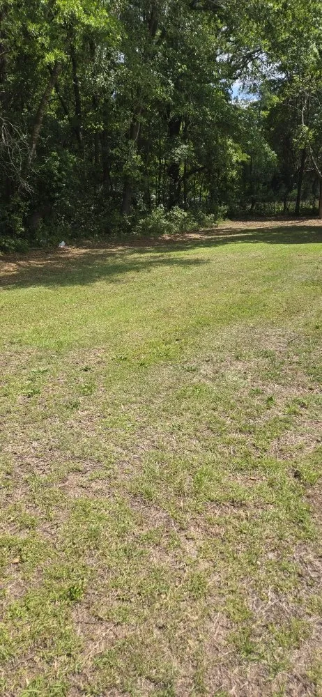 Custom landscape design experts serving Kingstree, SC - K&D Lawncare Solutions Plus