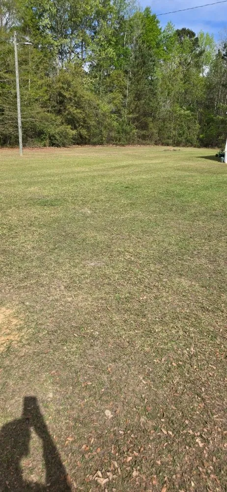 Custom yard maintenance in Kingstree, SC - K&D Lawncare Solutions Plus