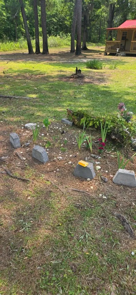 Affordable landscaping services experts serving Kingstree, SC - K&D Lawncare Solutions Plus