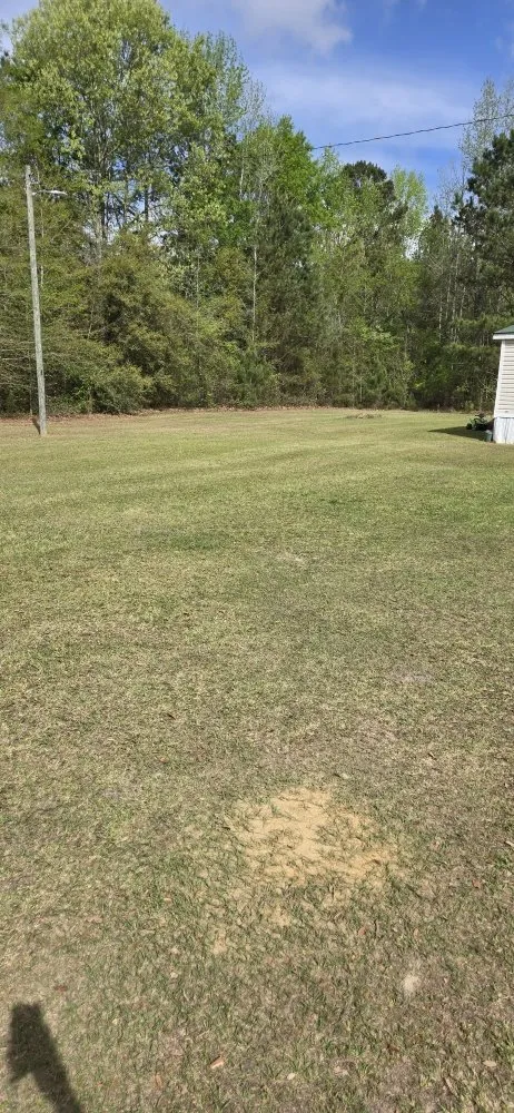 Professional residential landscaping near you across Kingstree, SC - K&D Lawncare Solutions Plus