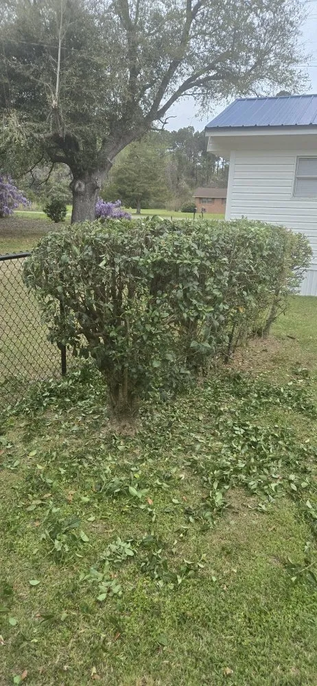 Top-rated garden landscaping in Kingstree, SC by K&D Lawncare Solutions Plus