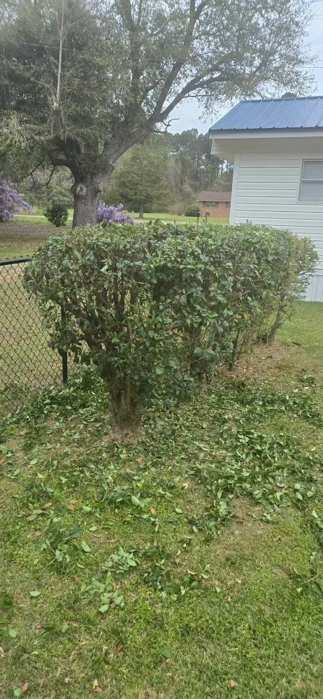 Custom lawn mowing service experts serving Kingstree, SC - K&D Lawncare Solutions Plus